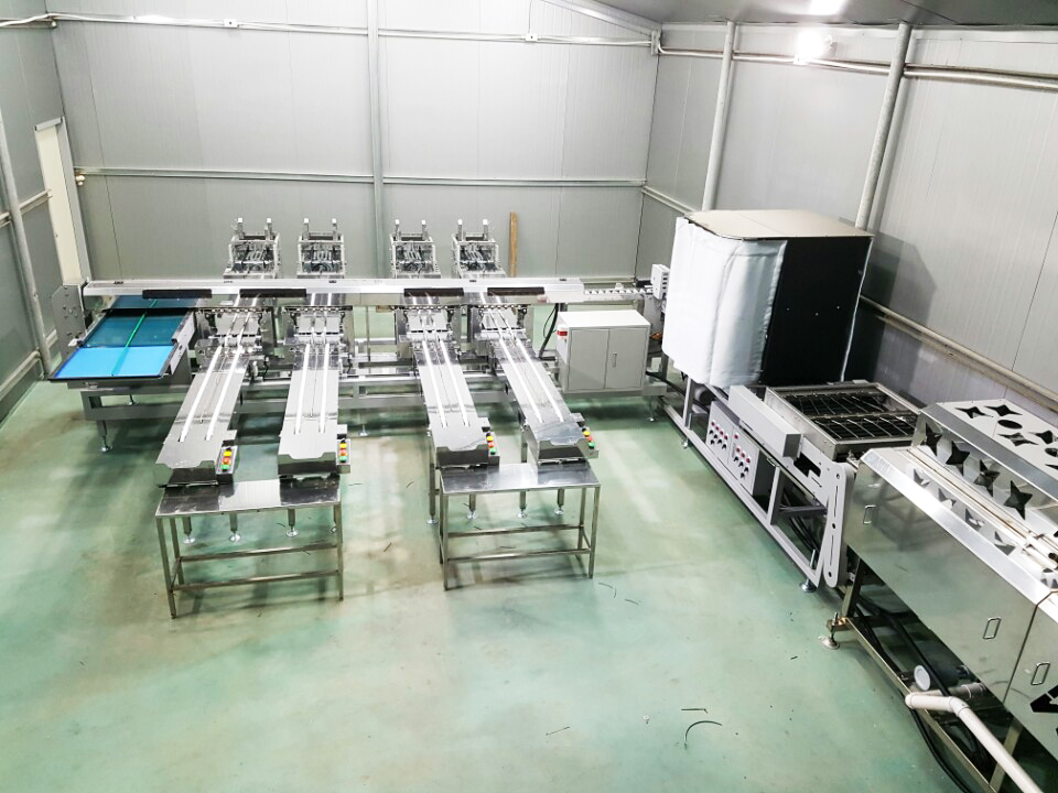 TGW-30K&nbsp;蛋品清洗分級設備