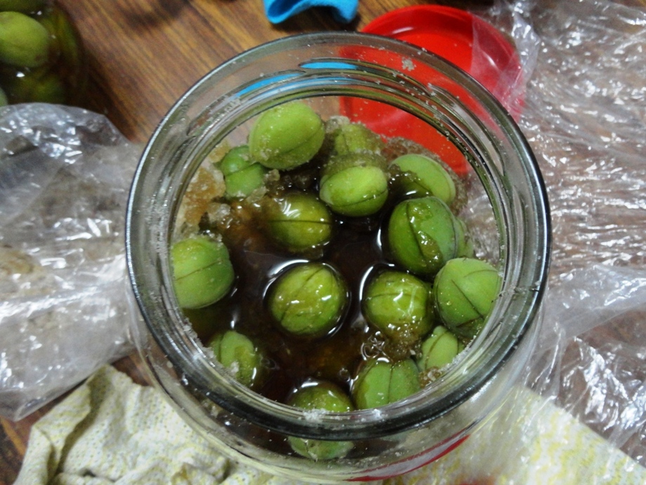 梅子酵素活動剪影3