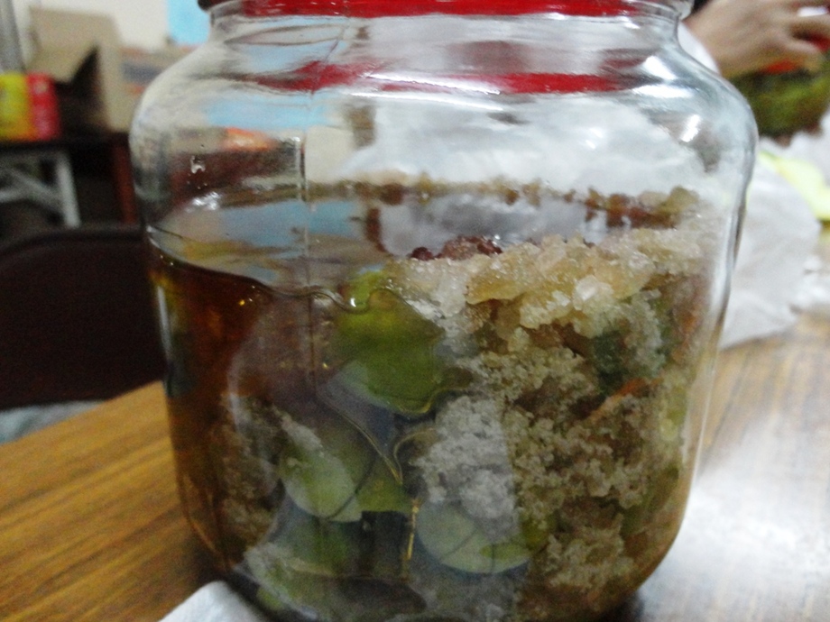 梅子酵素活動剪影4