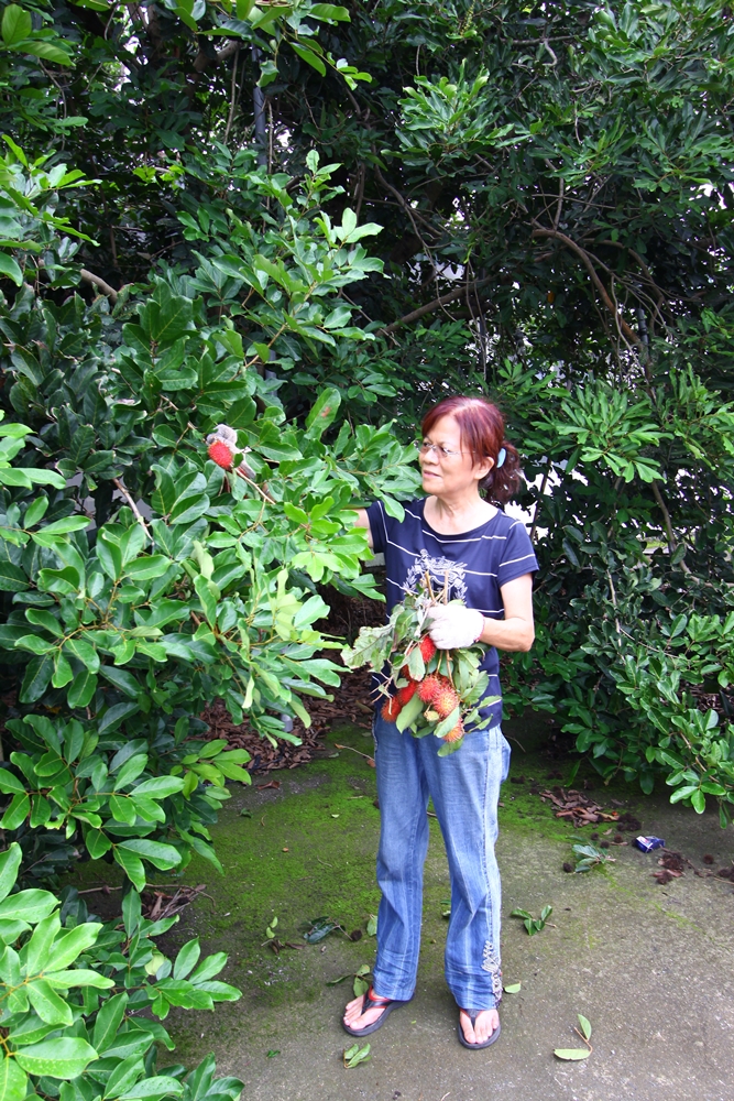 大津休閒農場12