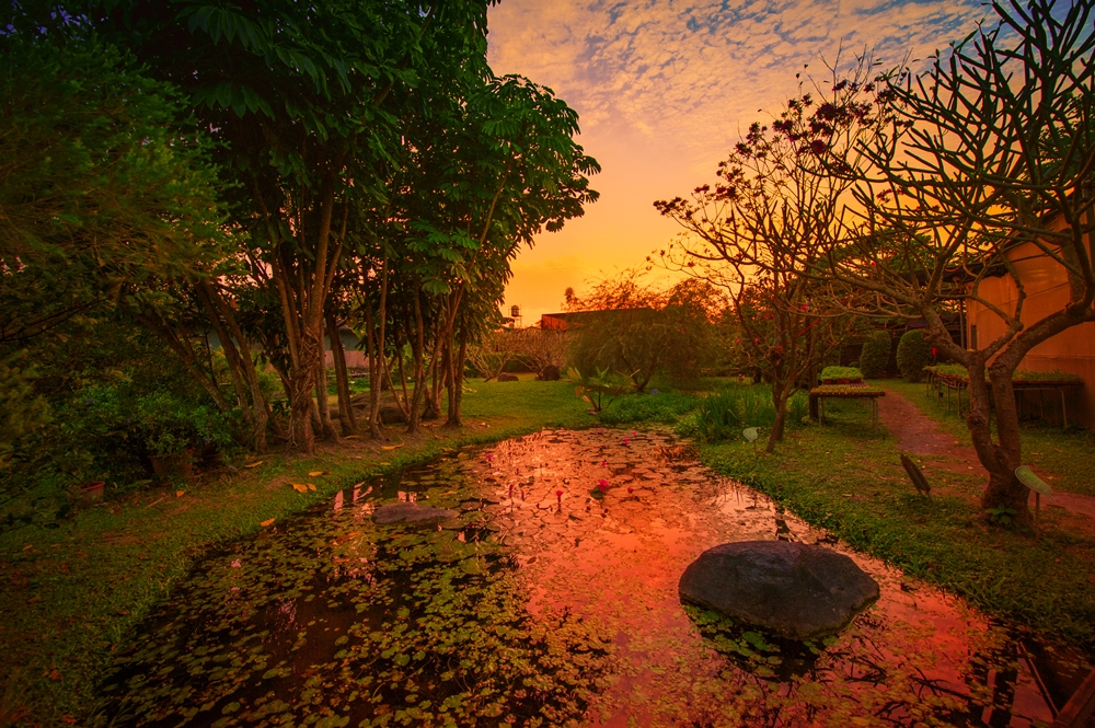 薰之園香草休閒農場4