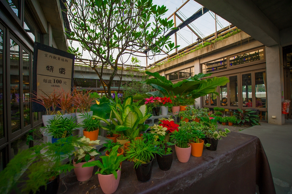 薰之園香草休閒農場6