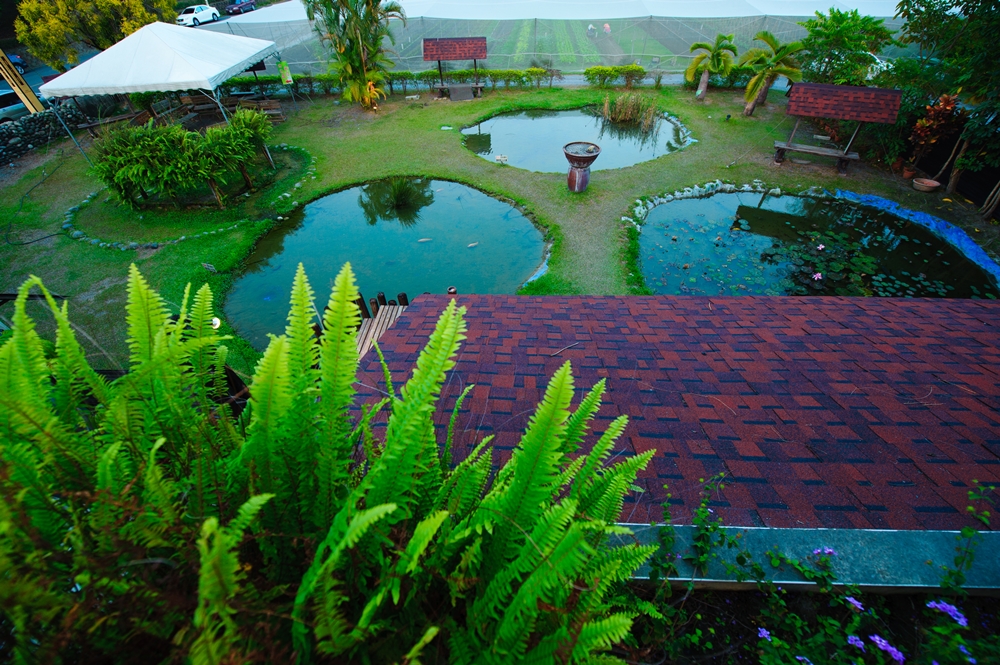 薰之園香草休閒農場7