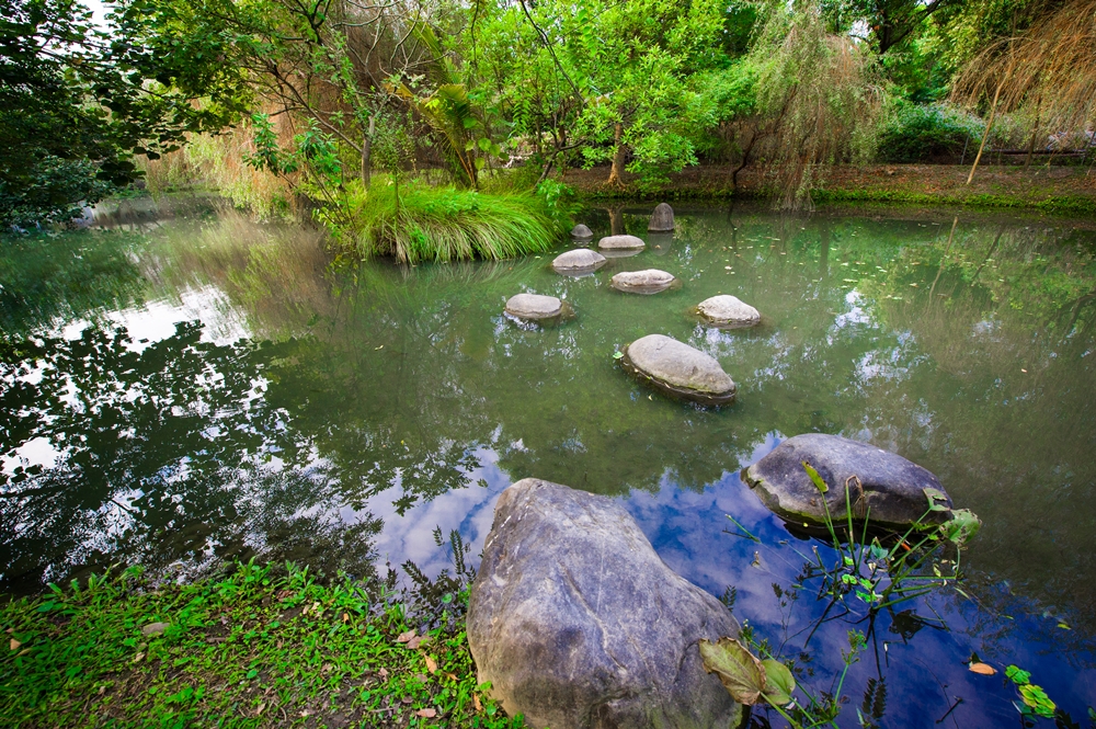 大茉莉休閒農場7