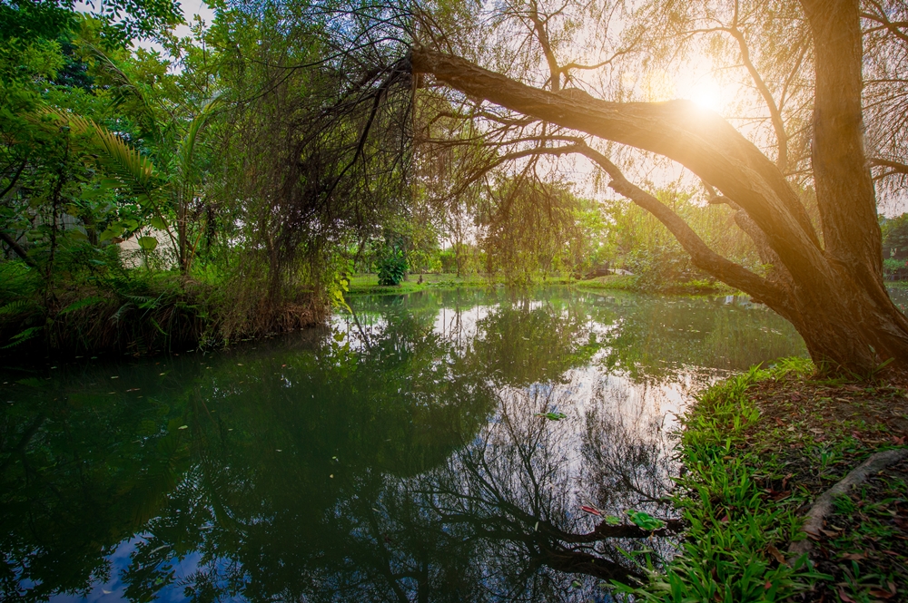 大茉莉休閒農場8