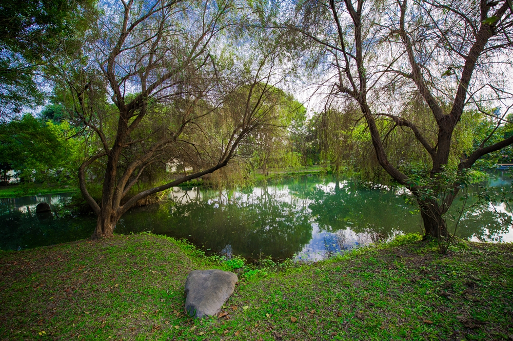大茉莉休閒農場9