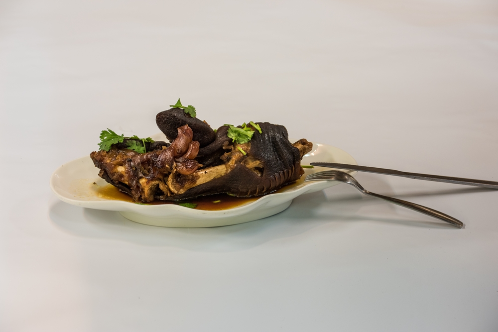 大鴕家觀光休閒農場4