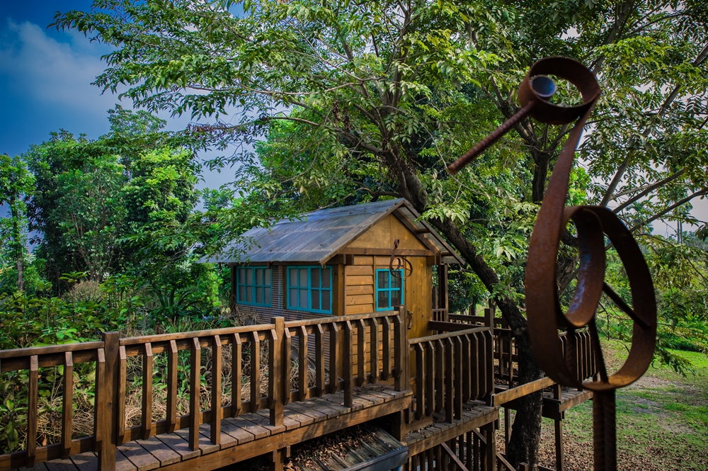 柚園生態休閒農場7