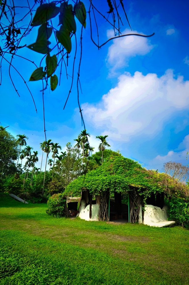 柚園生態休閒農場6