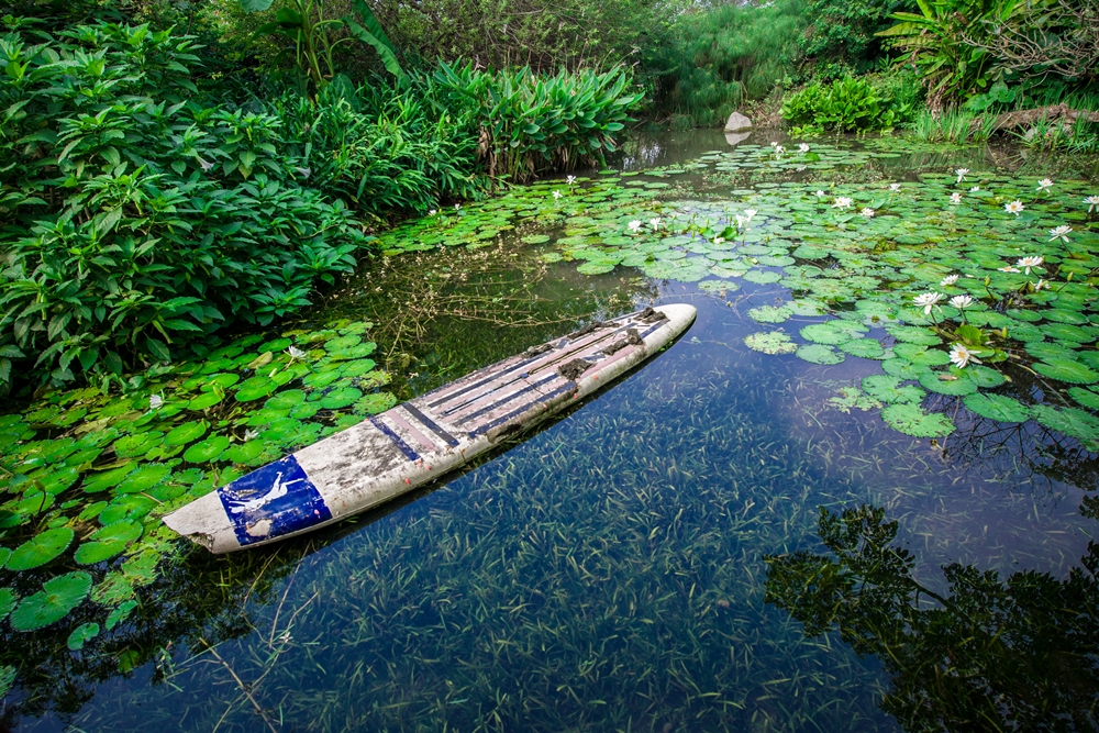 柚園生態休閒農場9