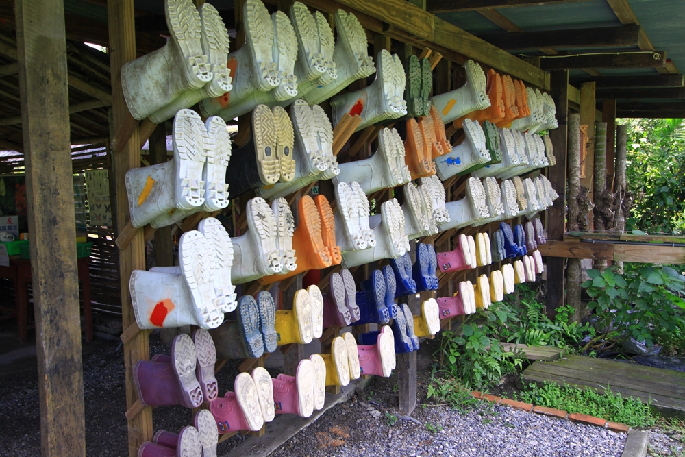 柚園生態休閒農場13