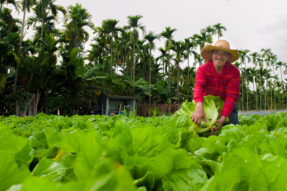 柚園生態休閒農場12