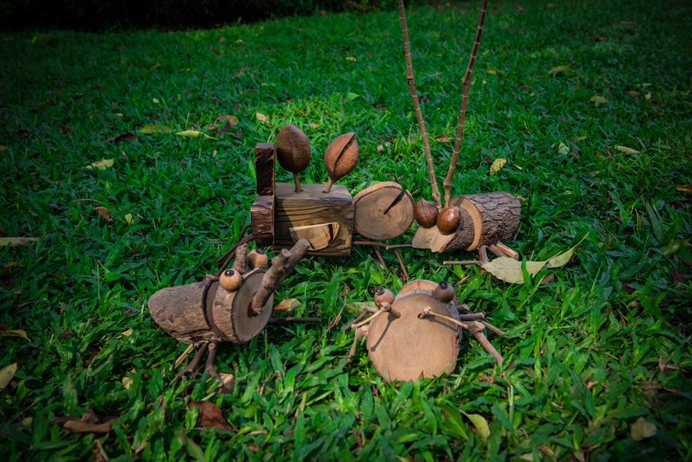 柚園生態休閒農場4