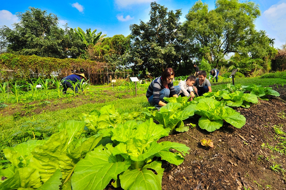 柚園生態休閒農場5