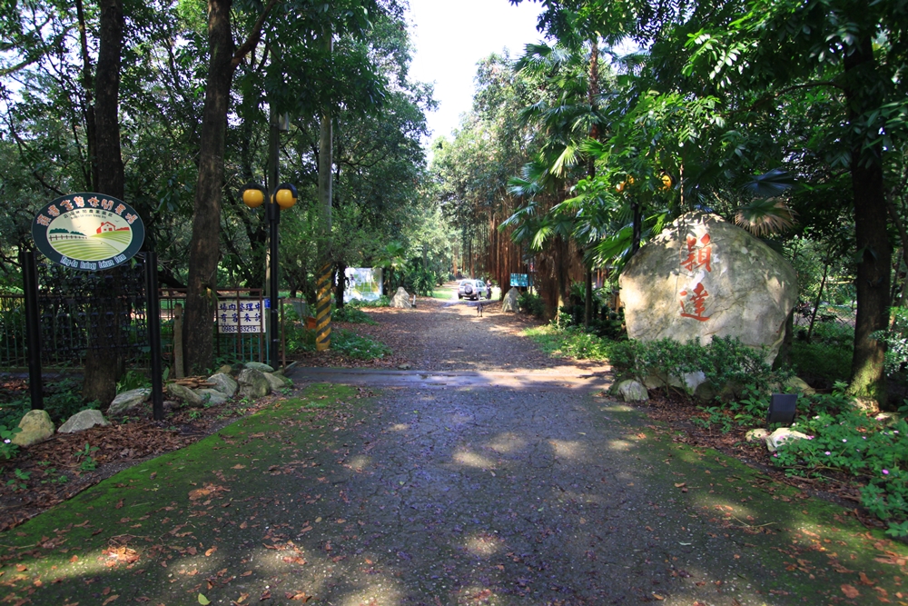 穎達生態休閒農場7