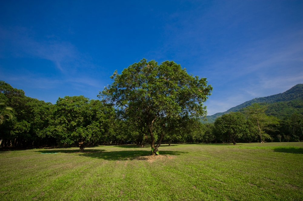 穎達生態休閒農場6