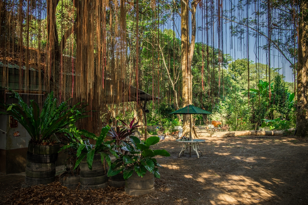 穎達生態休閒農場2