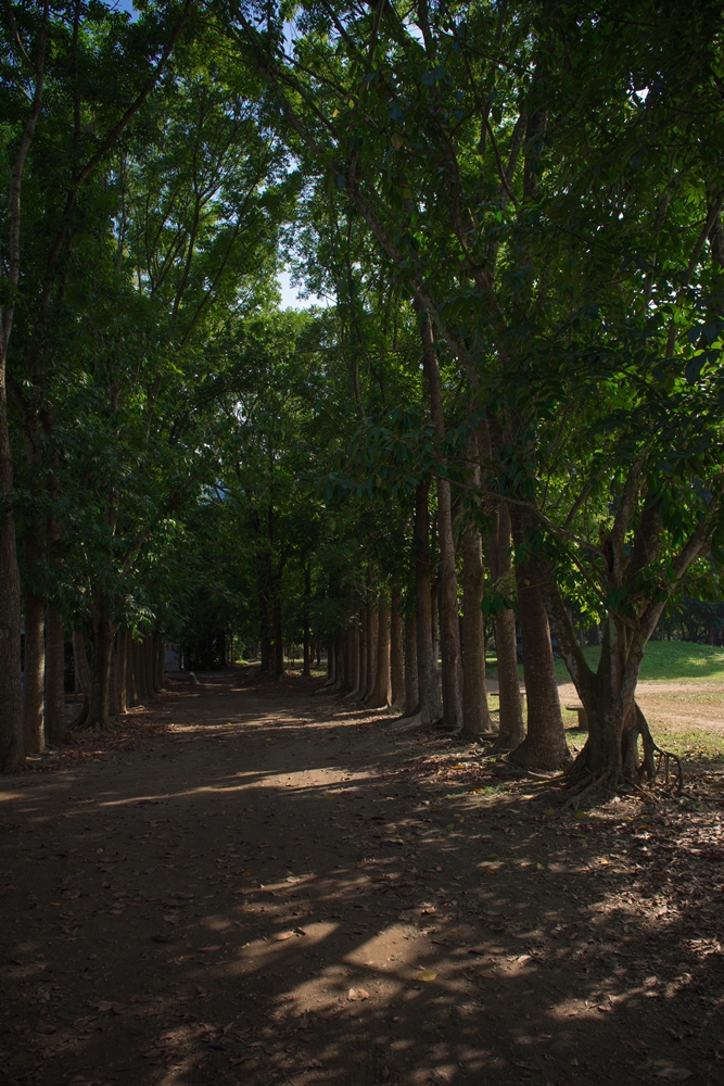 穎達生態休閒農場3