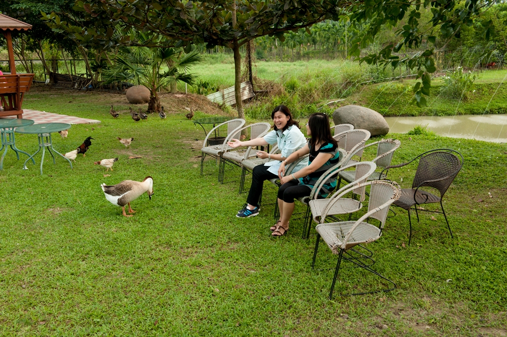 金石咖啡休閒農場4