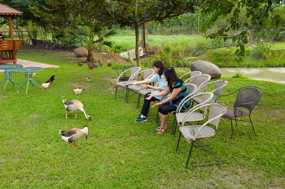 金石咖啡休閒農場3