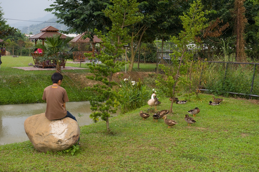 金石咖啡休閒農場13