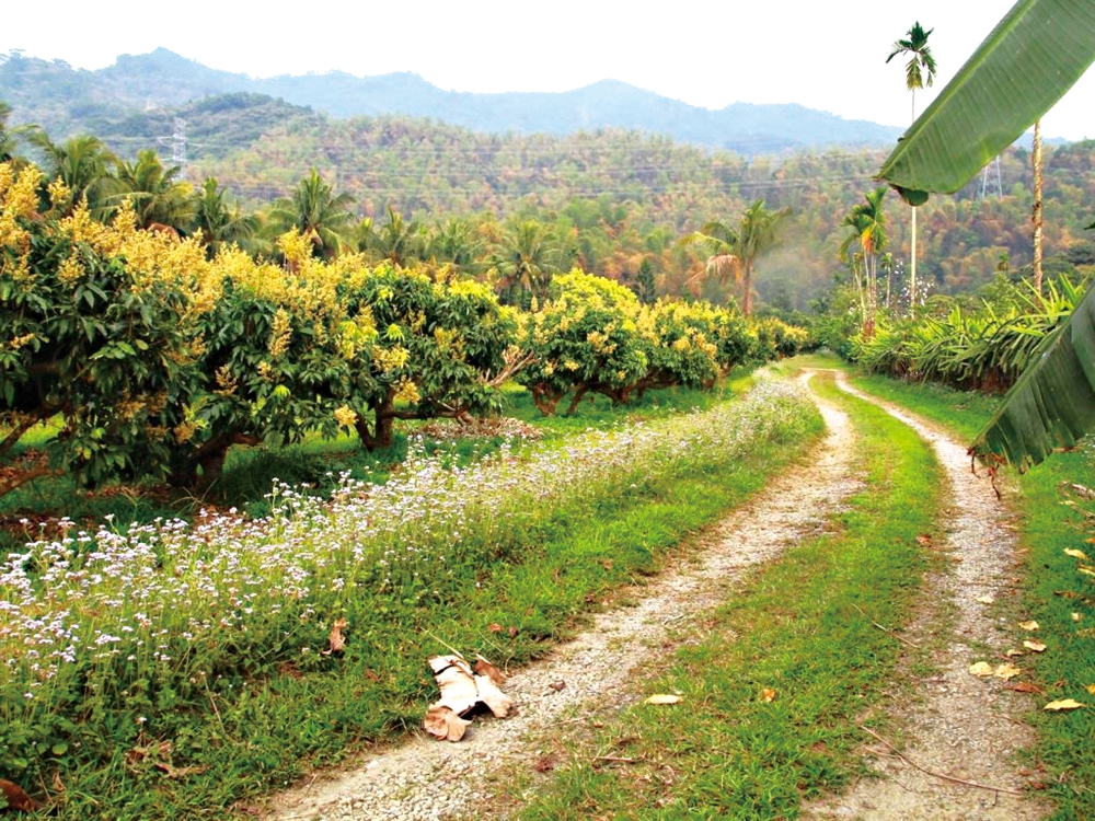乾坤有機生態休閒農場27