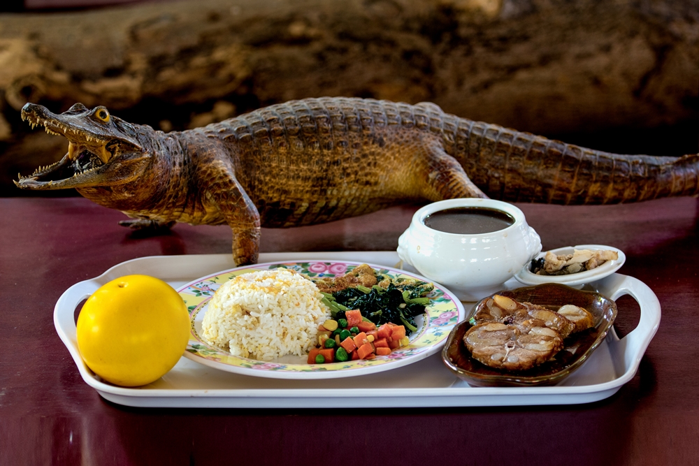 不一樣鱷魚生態休閒農場8