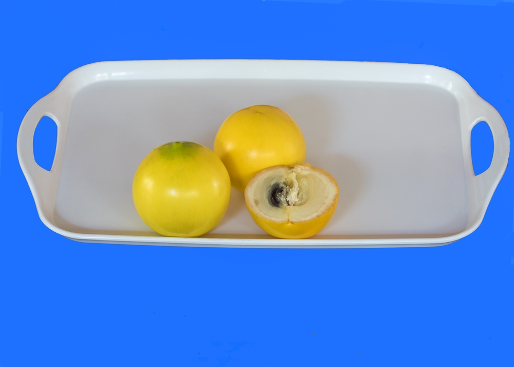 不一樣鱷魚生態休閒農場10