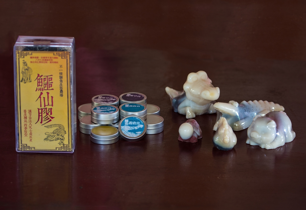 不一樣鱷魚生態休閒農場11