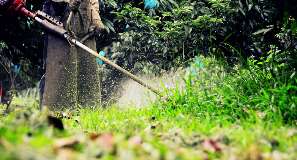 乾坤有機生態休閒農場32