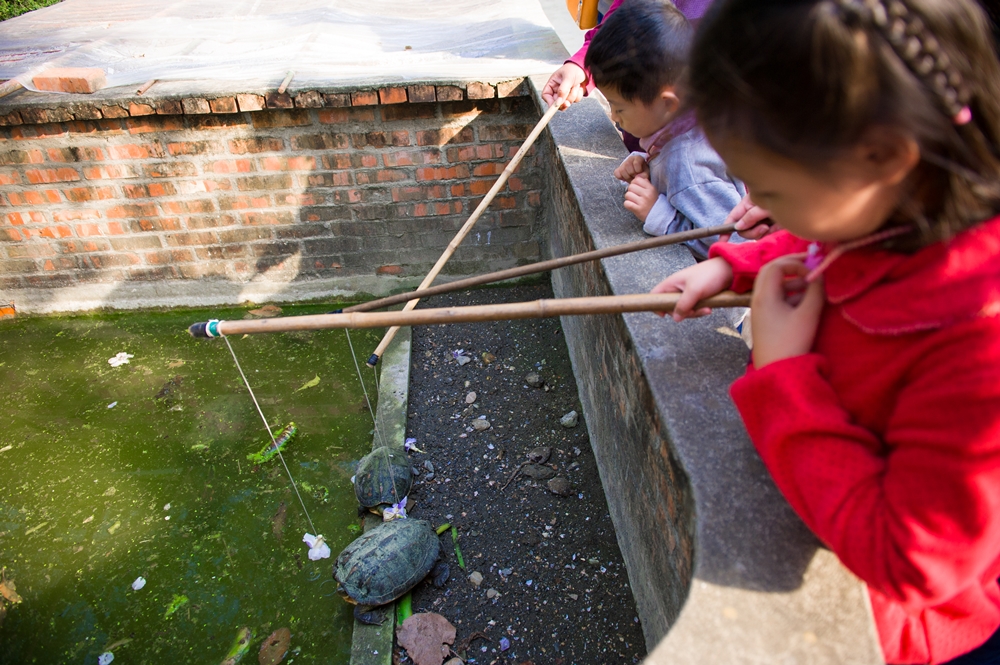 不一樣鱷魚生態休閒農場14