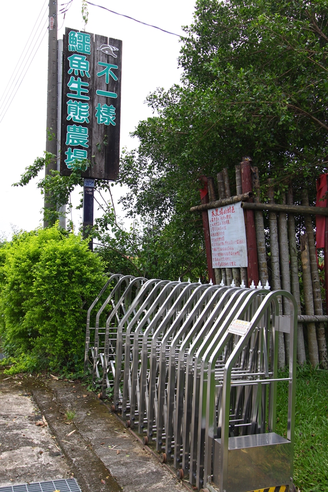 不一樣鱷魚生態休閒農場15