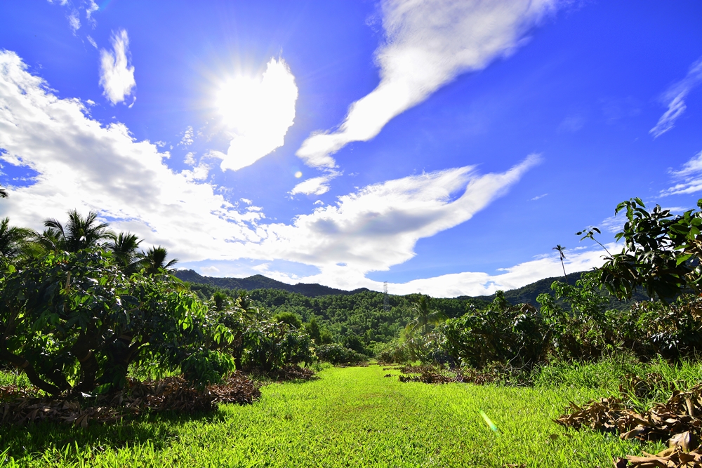 乾坤有機生態休閒農場1
