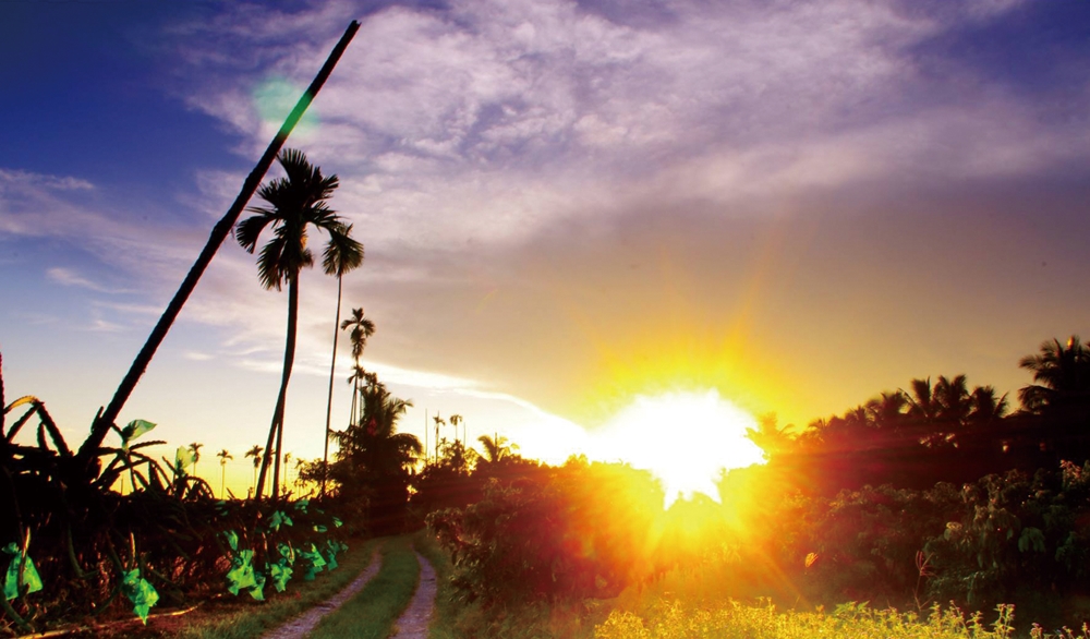 乾坤有機生態休閒農場10