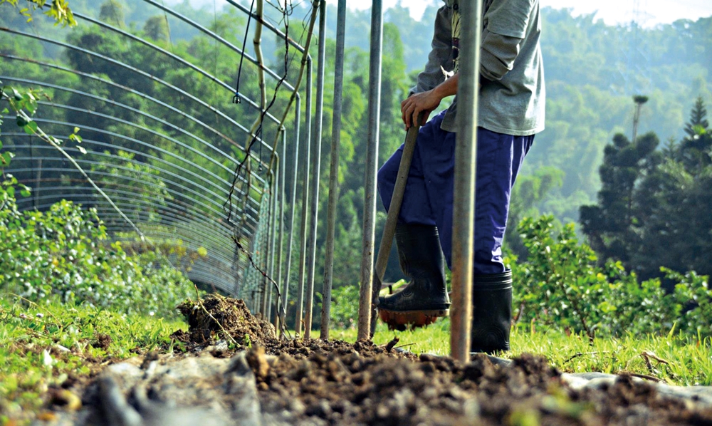 乾坤有機生態休閒農場17