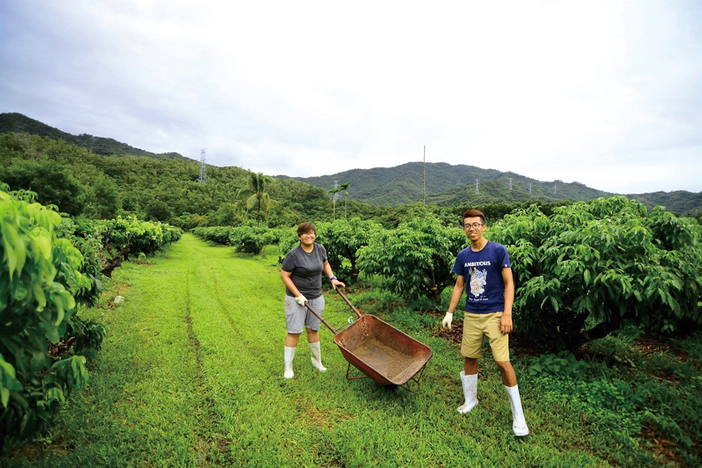 乾坤有機生態休閒農場20