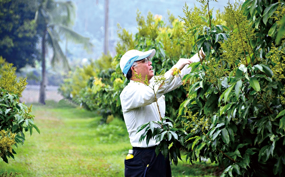 乾坤有機生態休閒農場18