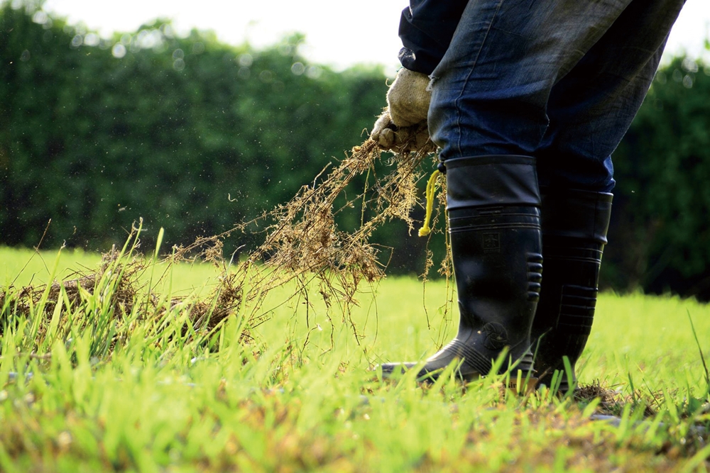 乾坤有機生態休閒農場21