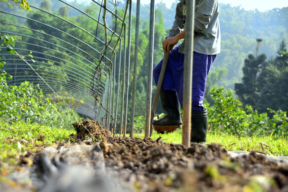 乾坤有機生態休閒農場22