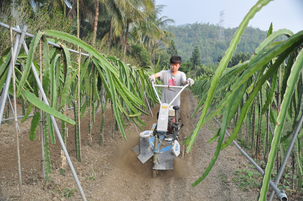 乾坤有機生態休閒農場23