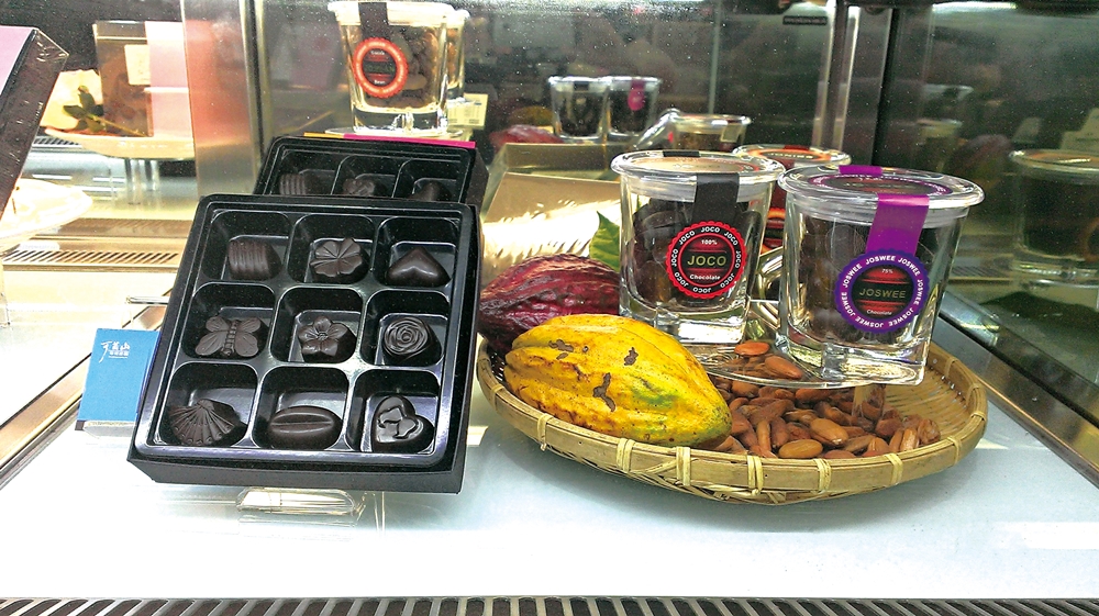 可茵山可可莊園休閒農場12