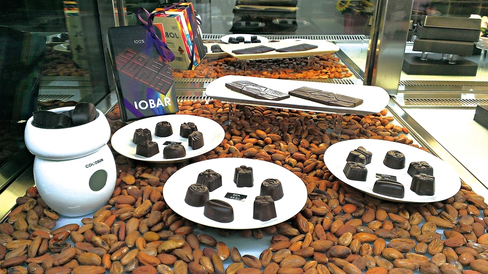 可茵山可可莊園休閒農場19