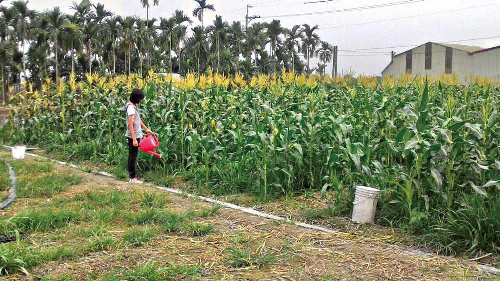 中原世紀休閒農場7