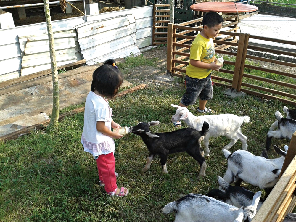 中原世紀休閒農場6