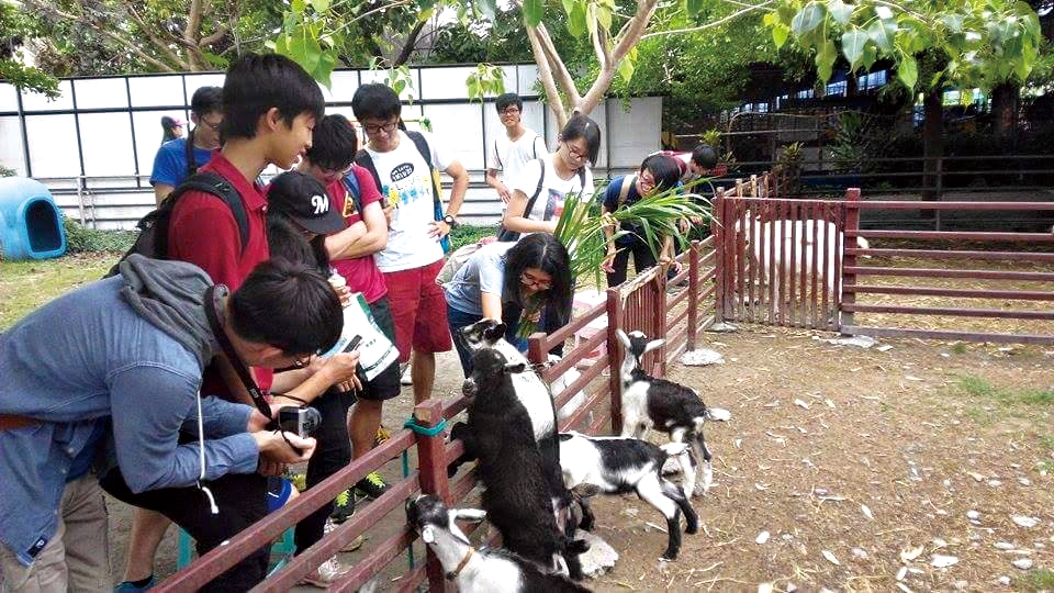 中原世紀休閒農場11