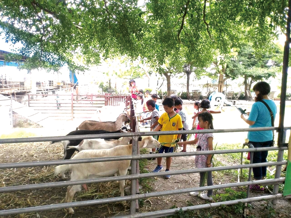 中原世紀休閒農場13