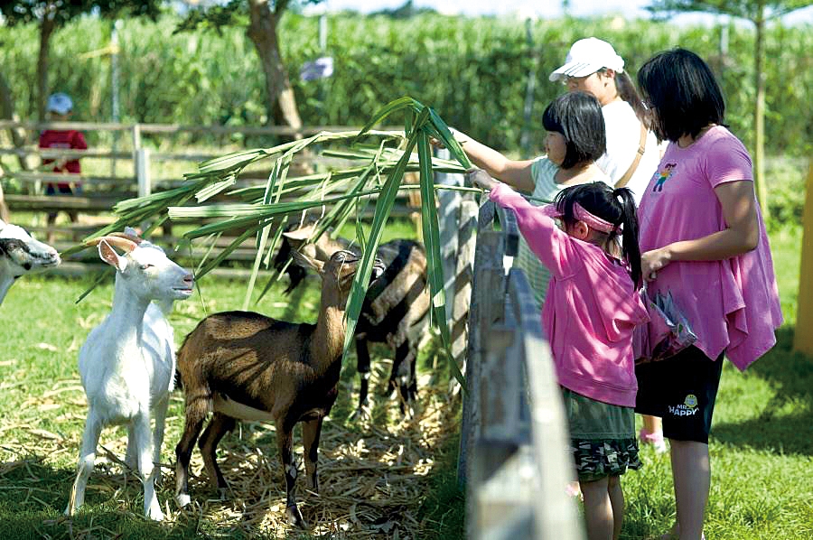 中原世紀休閒農場22