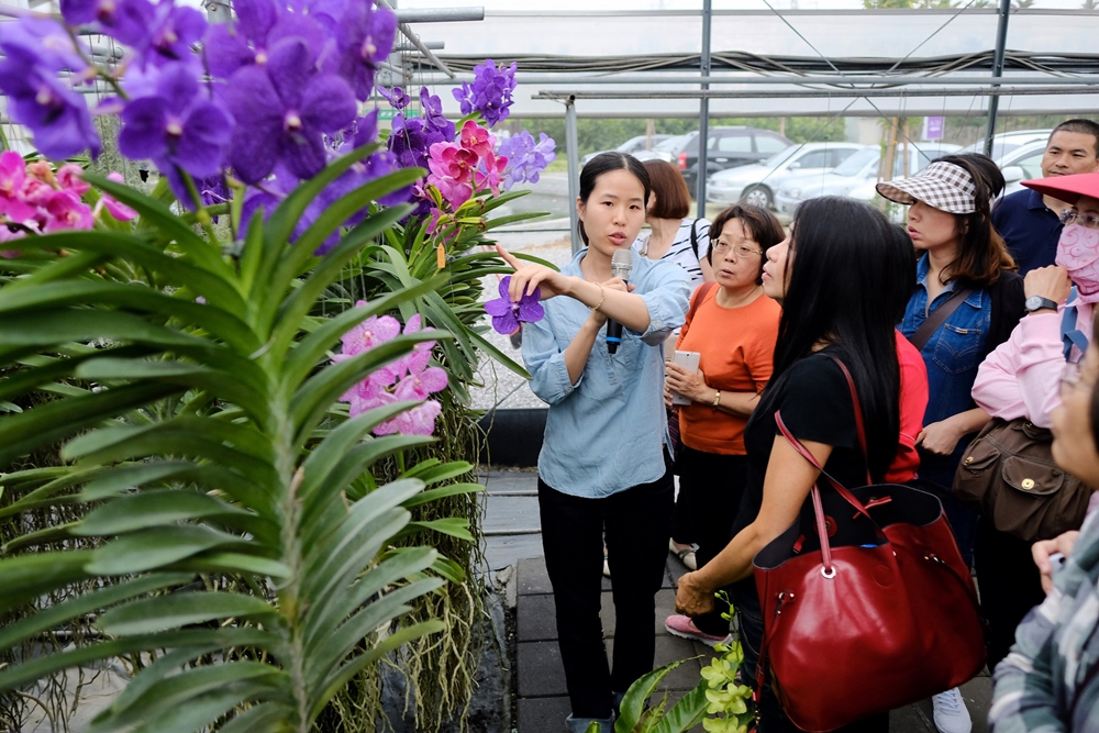 天使花園休閒農場23