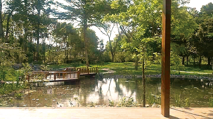 沐雨鍾林生態心靈休閒農場4