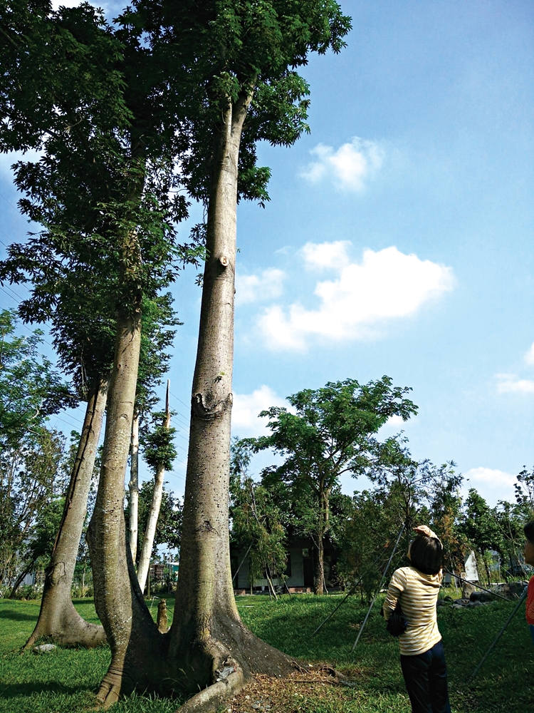 沐雨鍾林生態心靈休閒農場5